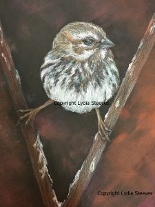 The Splits CP e-Packet